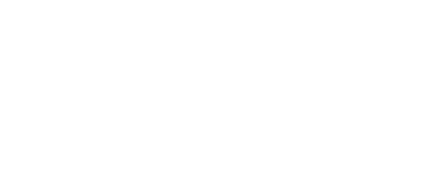 PIEA Logo weiss